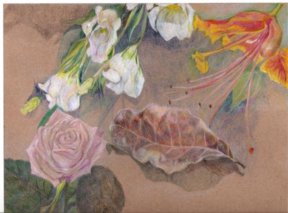 ������ �������� - ����� �����